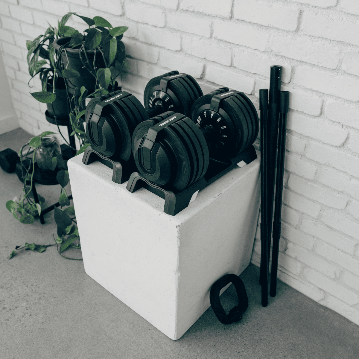 Bundle: Ascend 3-in-1 Adjustable Dumbbells (7 to 52.5 lb) & Bench